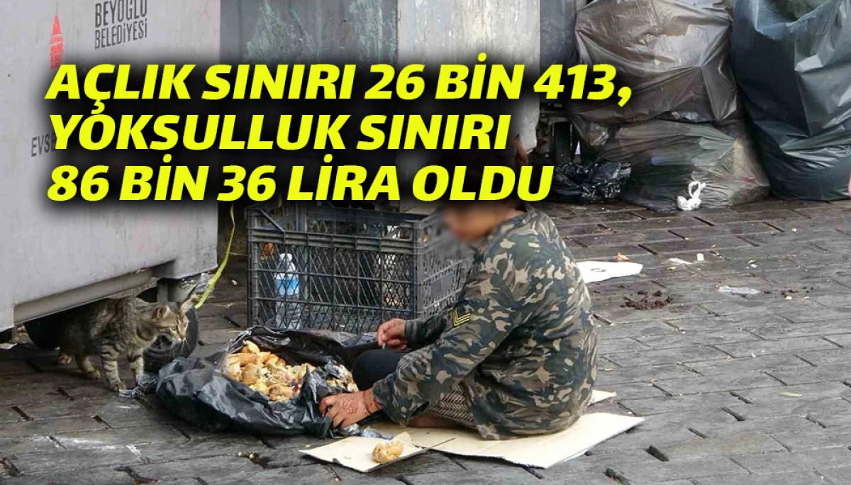 Açlık Sınırı 26 Bin 413, Yoksulluk Sınırı 86 Bin 36 Lira Oldu 