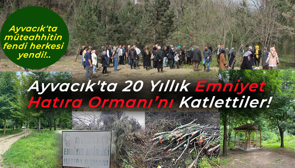  Ayvacık'ta 20 Yıllık Emniyet Hatıra Ormanını Katlettiler!