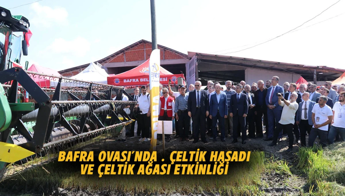 Bafra Ovası&rsquo;nda 12. &Ccedil;eltik Hasadı İle &Ccedil;eltik Ağası Etkinliği 