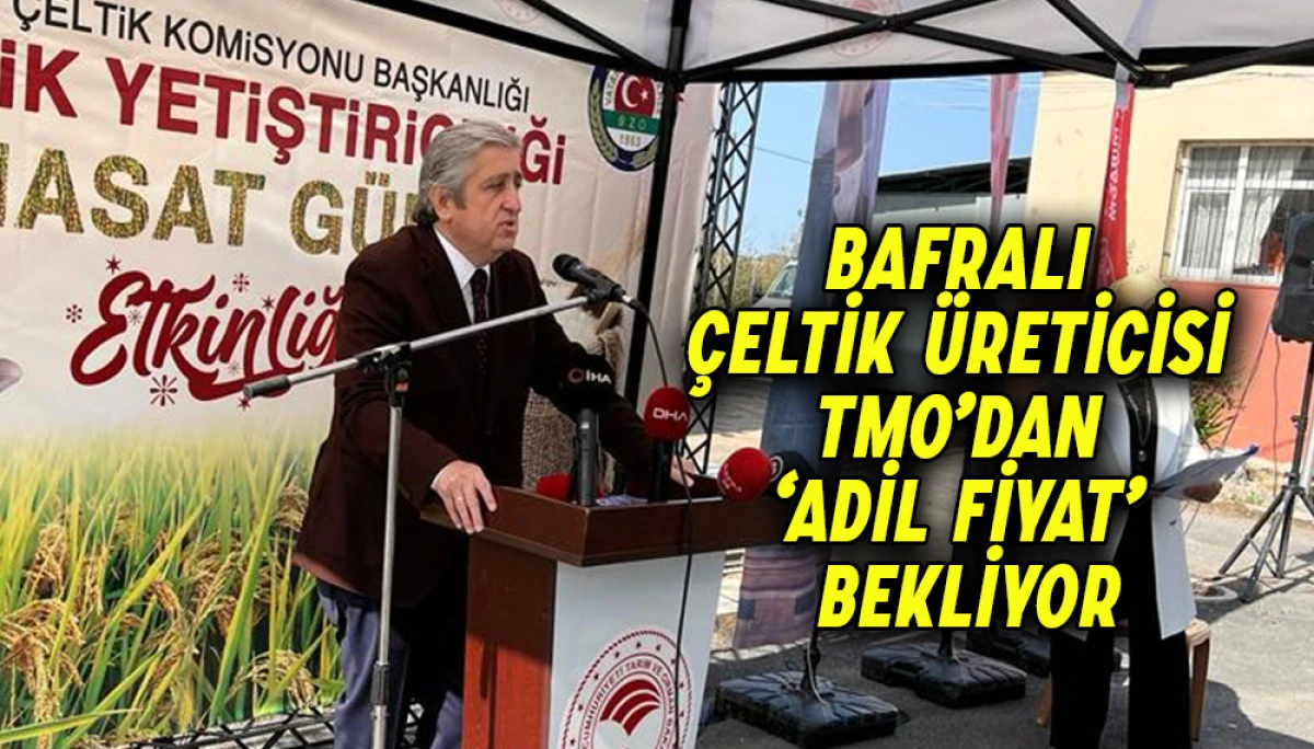 Bafralı çeltik üreticisi TMO’dan ‘adil fiyat’ bekliyor