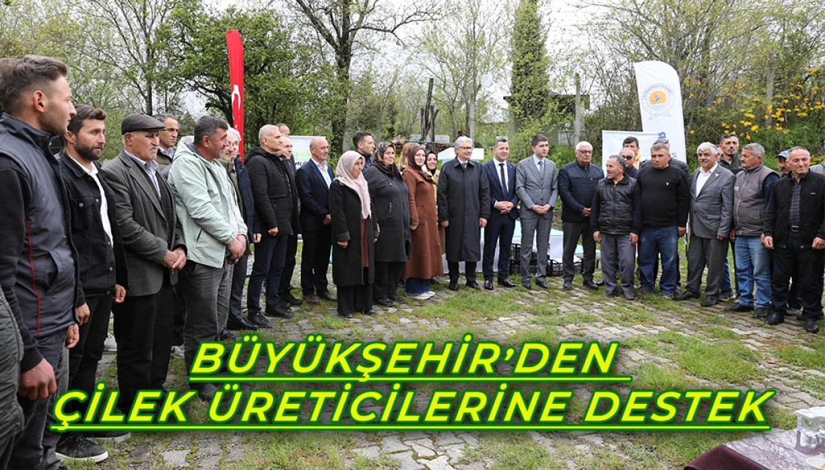 Büyükşehir’den Çilek Üreticilerine Destek