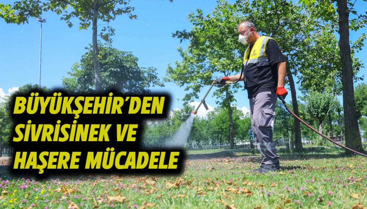 B&Uuml;Y&Uuml;KŞEHİR&rsquo;DEN SİVRİSİNEK VE HAŞERE M&Uuml;CADELE