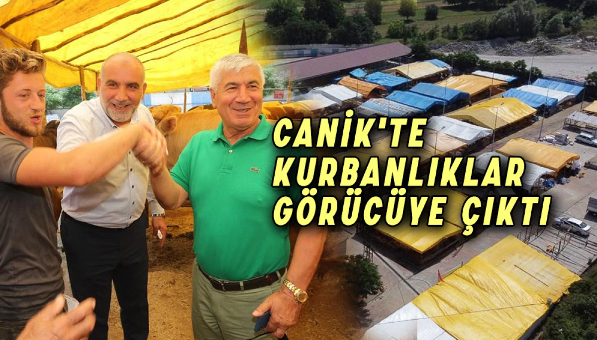Canik Belediyesi Canlı Hayvan Pazarı'nda kurbanlık satışları başladı