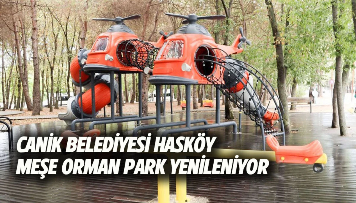 Canik Belediyesi Hask&ouml;y Meşe Orman Park Yenileniyor 