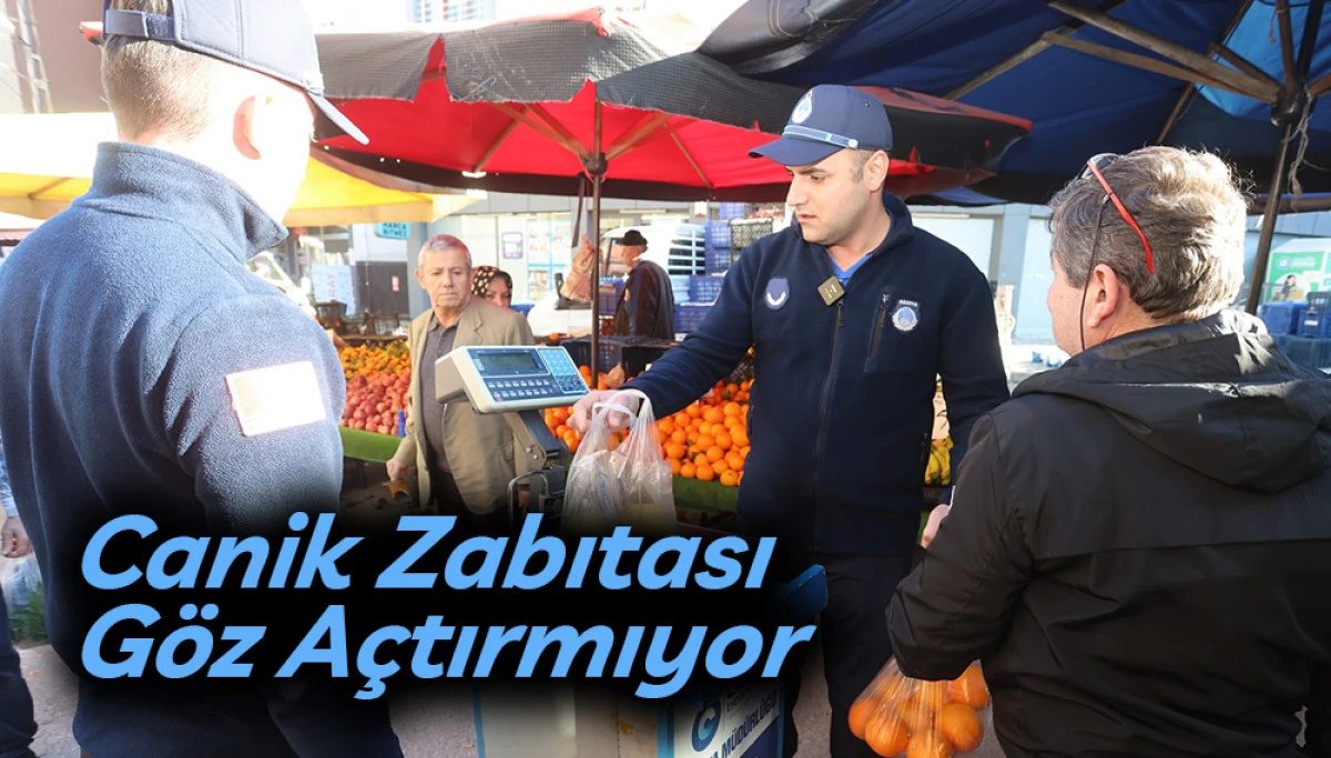 Canik Zabıtası G&ouml;z A&ccedil;tırmıyor