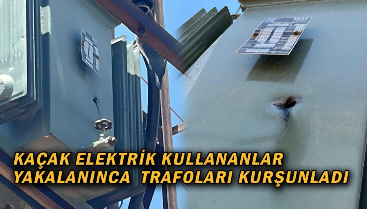Kaçak Elektrik Kullananlar Yakalanınca  Trafoları Kurşunladı 