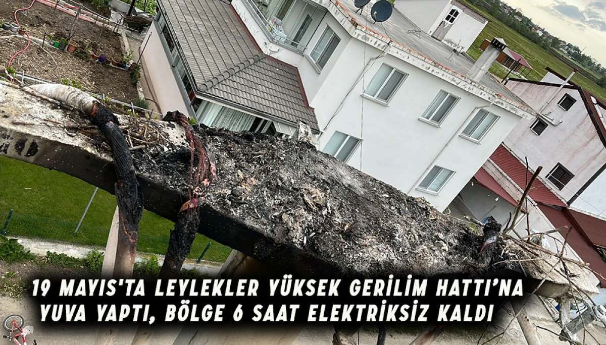 Leylekler Yüksek Gerilim Hattına  Yuva Yaptı Bölge 6 saat elektriksiz kaldı