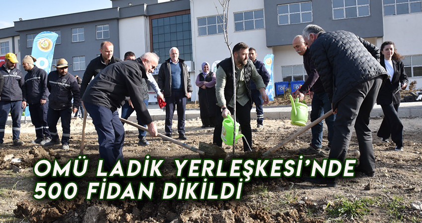 OMÜ Ladik Yerleşkesi’nde 500 Fidan Dikildi