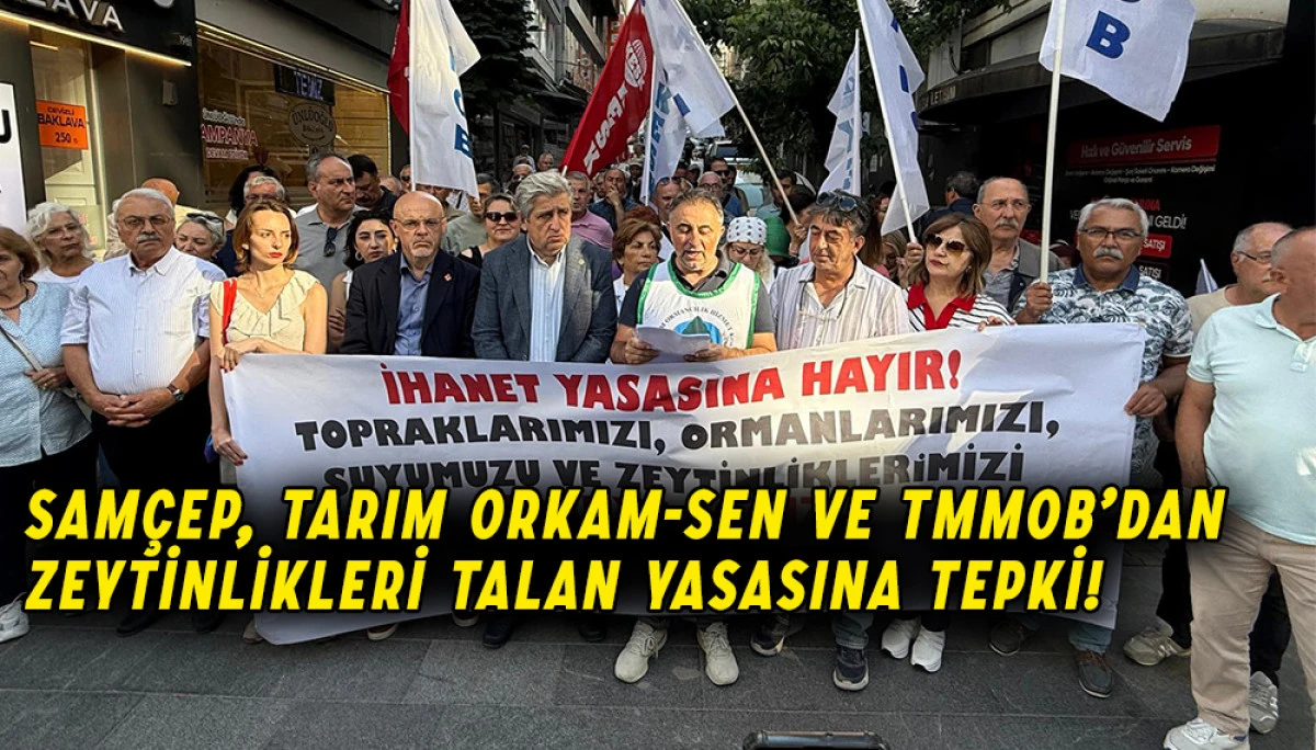 SAMÇEP, Tarım Orkam-Sen ve  TMMOB’dan zeytinlikleri talan yasasına tepki!