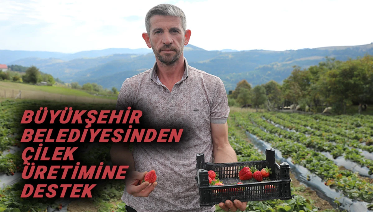 Samsun B&uuml;y&uuml;kşehir Belediyesi&rsquo;nden &Ccedil;ilek &Uuml;retimine Destek