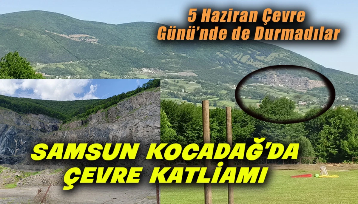  Samsun  Kocadağ&rsquo;da &Ccedil;evre Katliamı!