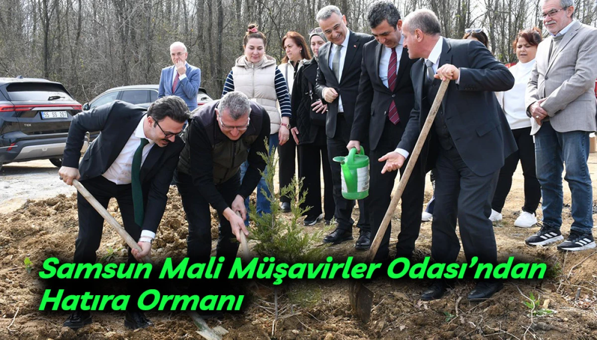 Samsun Mali M&uuml;şavirler Odası&rsquo;ndan Hatıra Ormanı 