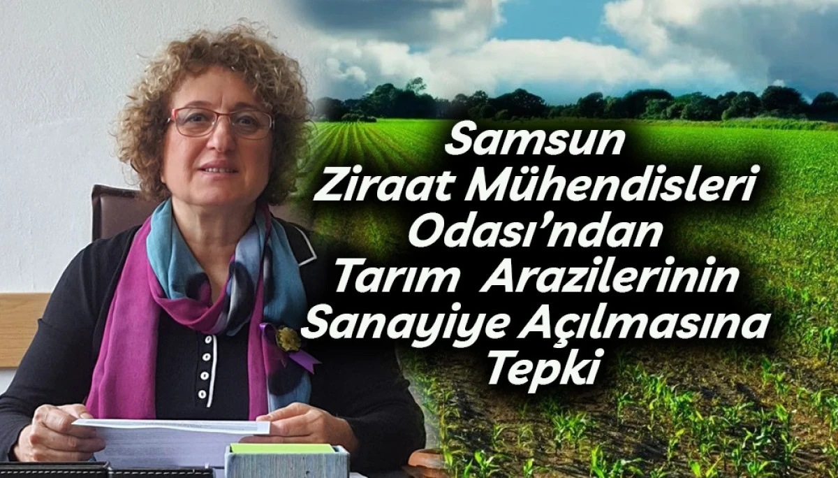 Samsun Ziraat Mühendisleri Odası’ndan Tarım  Arazilerinin Sanayiye Açılmasına Tepki