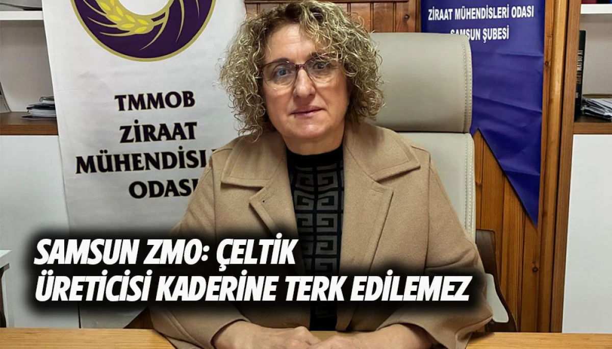 SAMSUN ZMO:  &Ccedil;ELTİK &Uuml;RETİCİSİ KADERİNE TERK EDİLEMEZ,