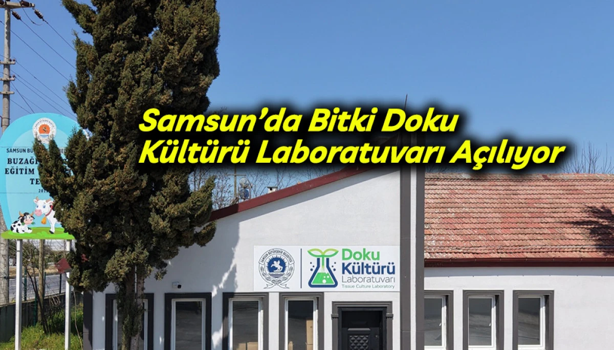 Samsun&rsquo;da Bitki Doku  K&uuml;lt&uuml;r&uuml; Laboratuvarı A&ccedil;ılıyor