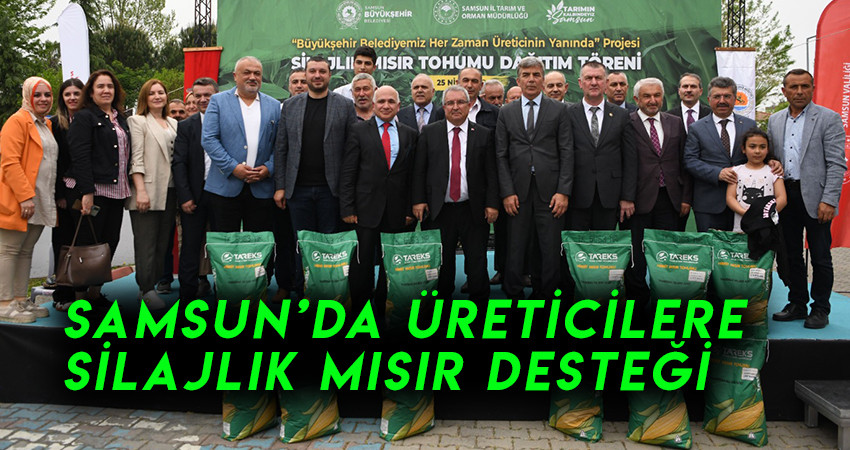 Samsun’da üreticilere  silajlık mısır desteği