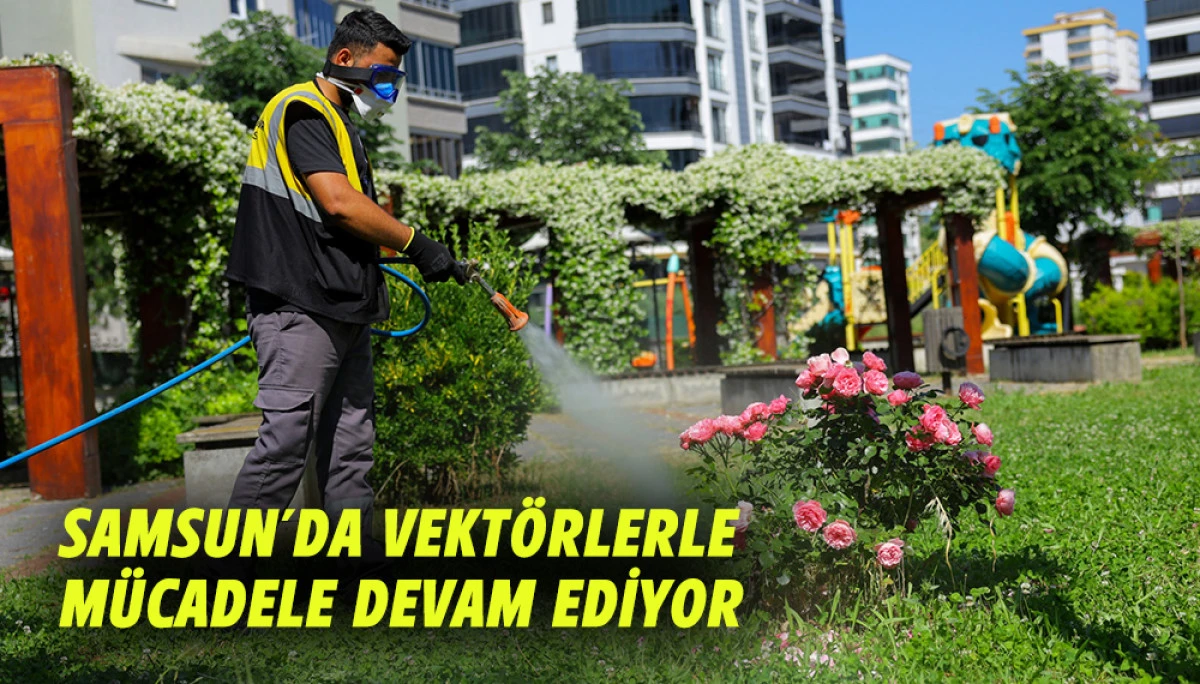 Samsun&rsquo;da Vekt&ouml;rlerle M&uuml;cadele Devam Ediyor