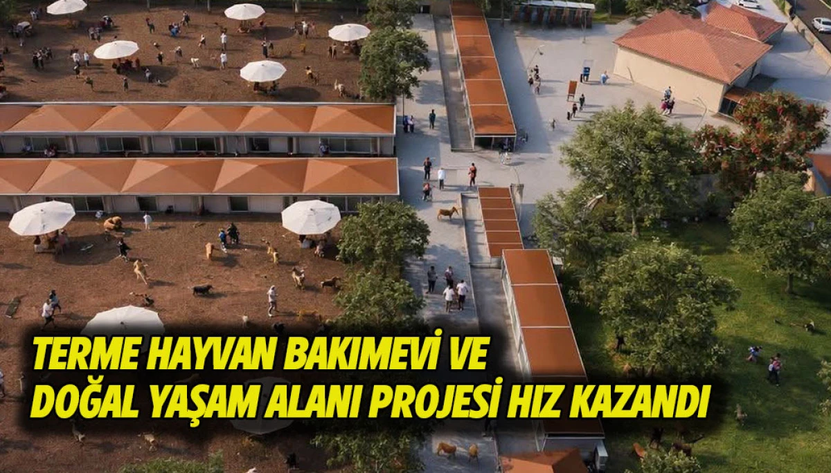 Terme Hayvan Bakımevi ve Doğal Yaşam Alanı projesi hız kazandı