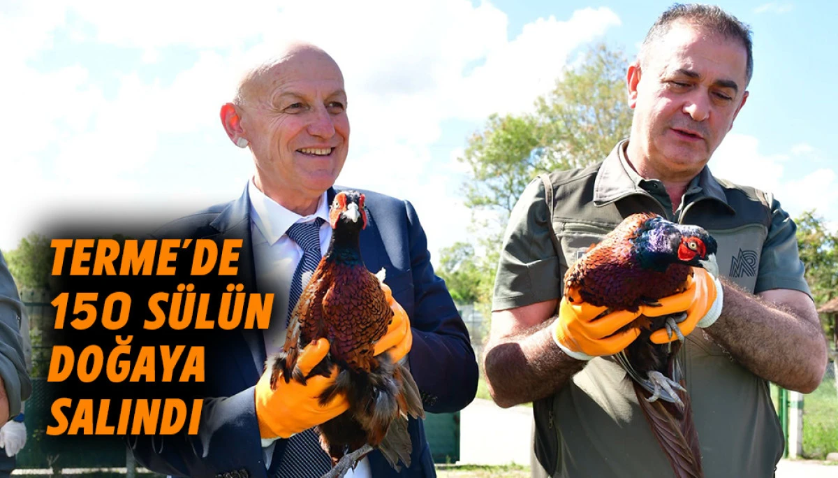 TERME&rsquo;DE 150 S&Uuml;L&Uuml;N DOĞAYA SALINDI