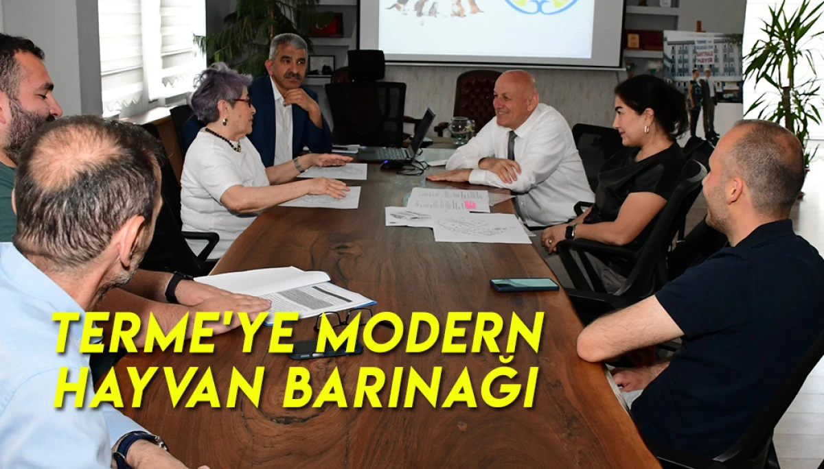 Terme'ye Modern Hayvan Barınağı Yapılıyor