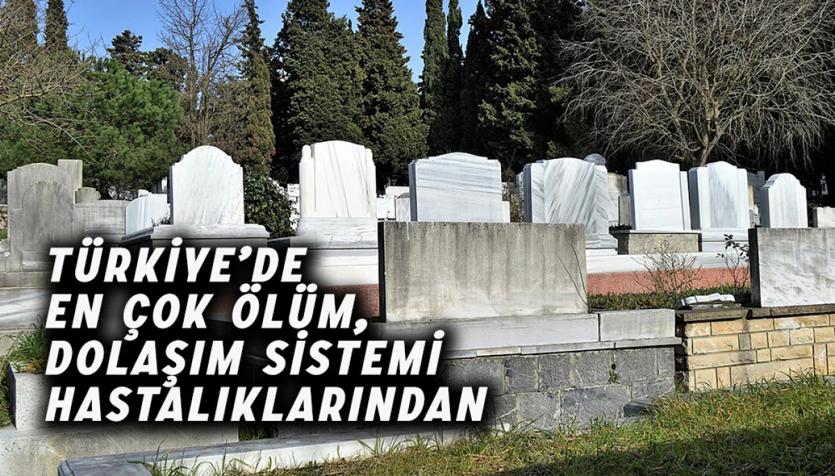 Türkiye’de En Çok Ölüm Dolaşım Sistemi Hastalıklarından