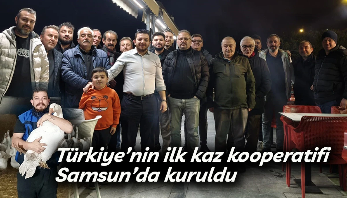 T&uuml;rkiye&rsquo;nin ilk kaz kooperatifi Samsun&rsquo;da kuruldu